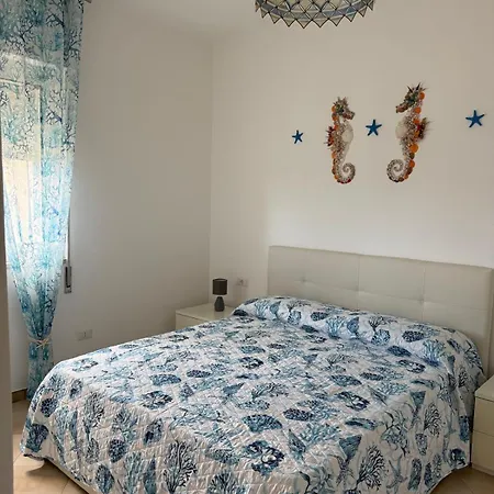 Bed & Breakfast Seashell